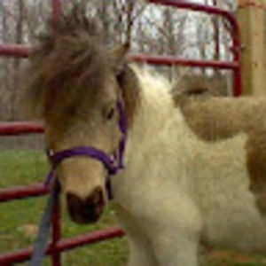 Meet your Posher, Tina